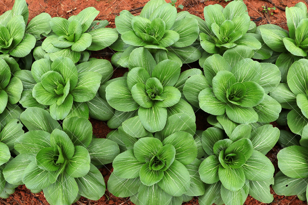 1557882933460996.jpg IMG_4179.jpg