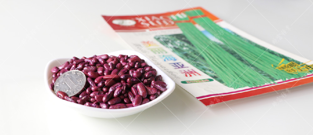 1557986371109172.jpg 未標(biāo)題-1.jpg