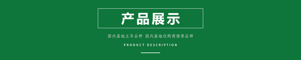 1557986376614283.jpg 00新產(chǎn)品.jpg