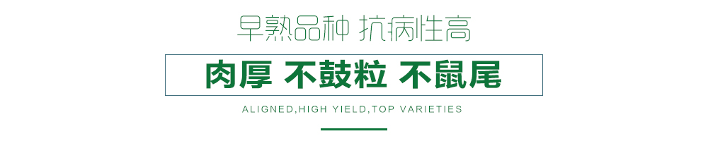 1557986414355463.jpg 詳情頁(yè)23.jpg